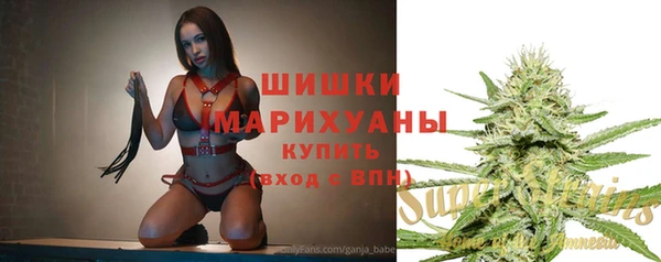 МДПВ Волоколамск