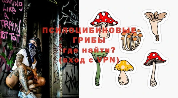 МДПВ Волоколамск