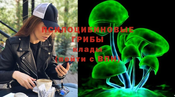 хмурый Хадыженск