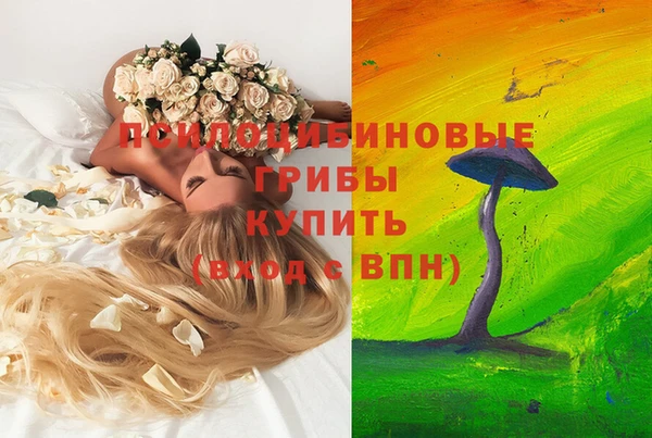 эйфоретик Володарск