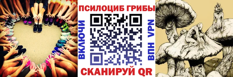купить   Лихославль  Галлюциногенные грибы Magic Shrooms 